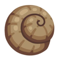 Leech Snail's Shell