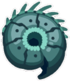 Space Nautilus's Shell