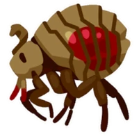 Sphinx Flea