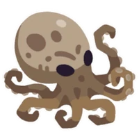 Swamp Octopus